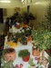 Výstava pokojových květin 2011 (2)
